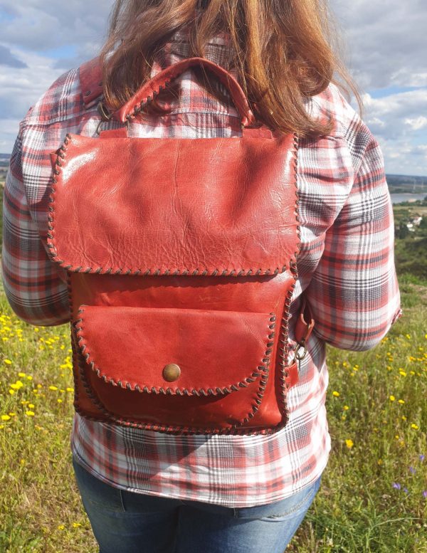 Mochila/Mala - Image 10