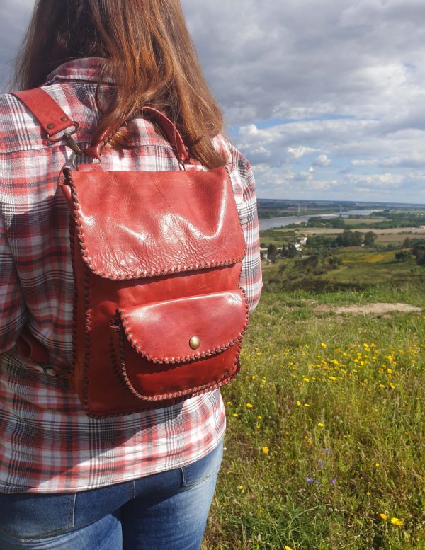 Mochila/Mala - Image 12
