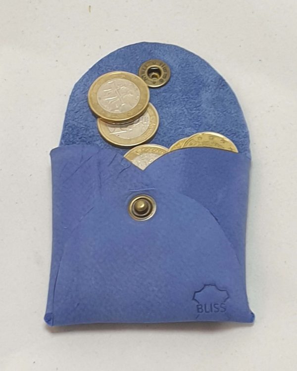 Carteira de Moedas